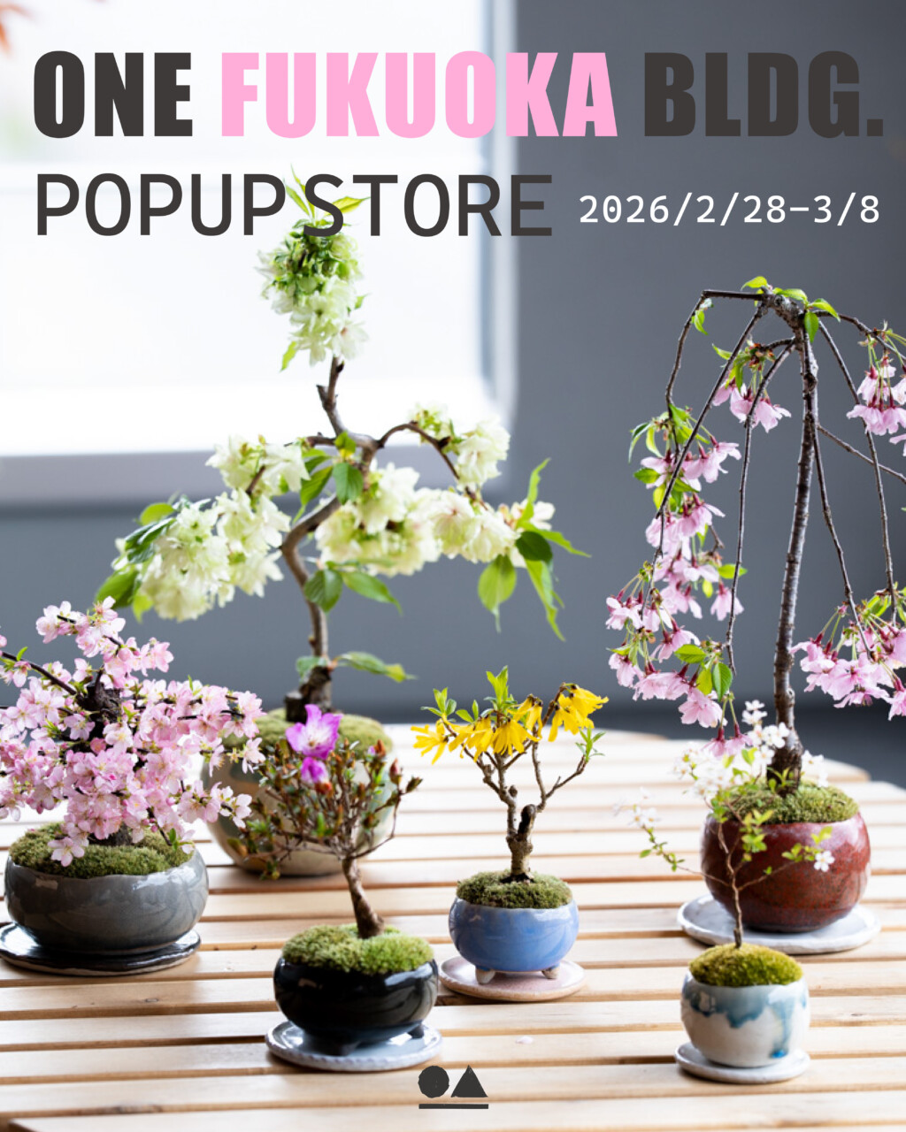ONE FUKUOKA BLDG. POPUPのお知らせ。｜石木花｜SEKIBOKKA｜盆栽