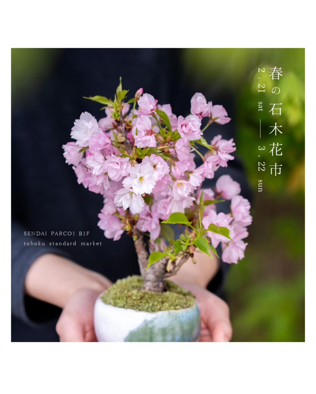 東北スタンダードマーケット「春の石木花市」｜石木花｜SEKIBOKKA｜盆栽